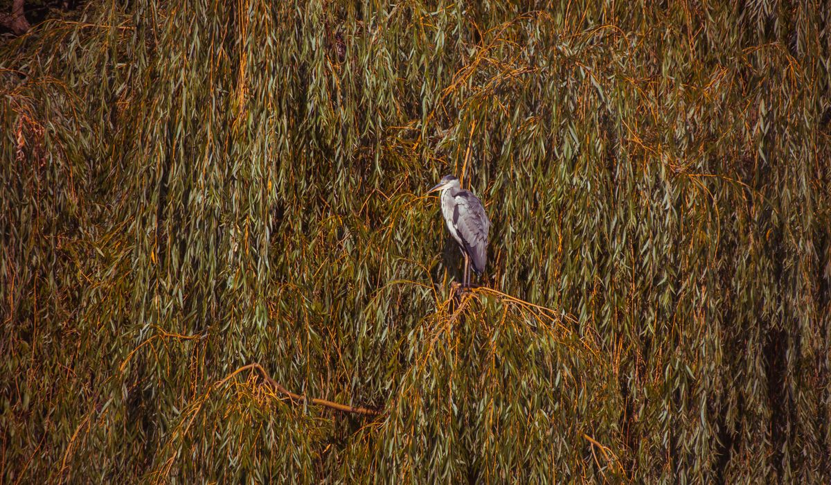 Basic first aid kit contents for boaters