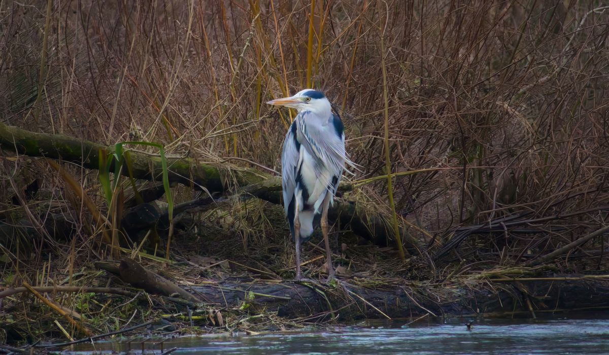 Photographing Britain's canals and rivers beautifully