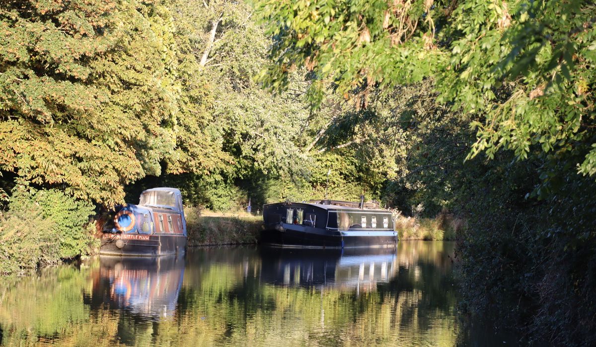 Wildlife to spot along British waterways in spring