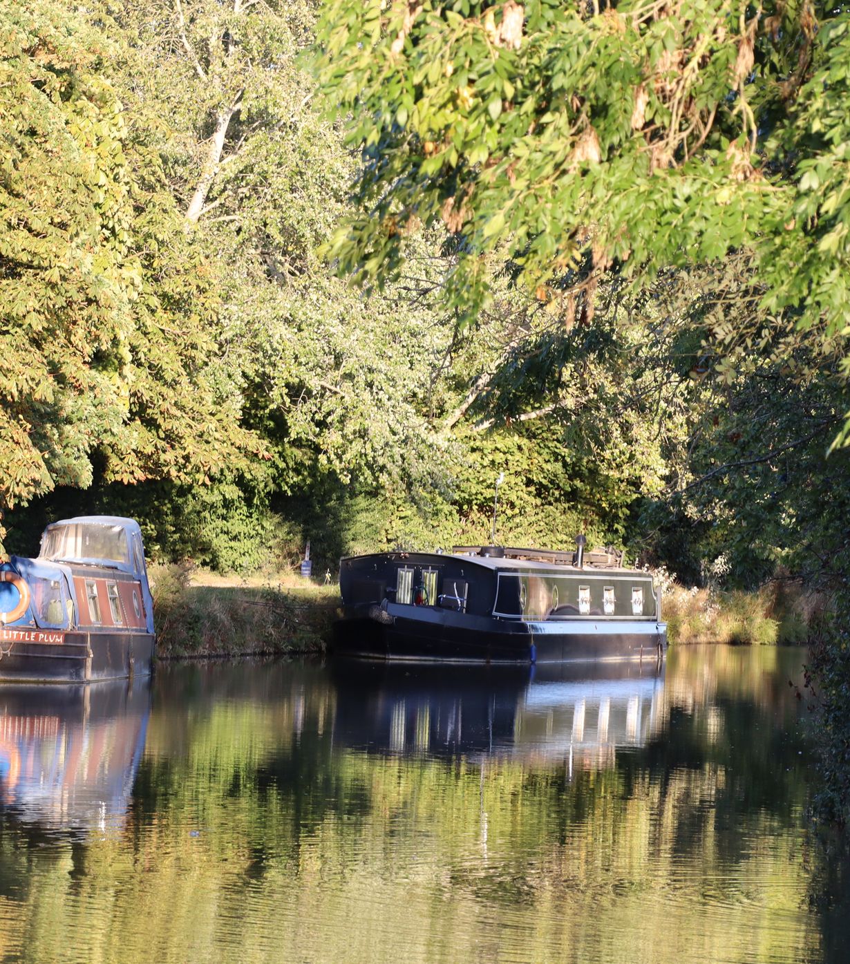 Hazel Wharf